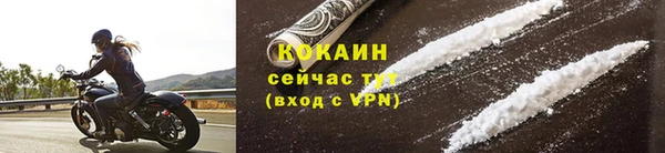 индика Куйбышев