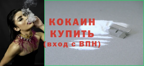 индика Куйбышев