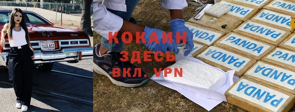 индика Куйбышев