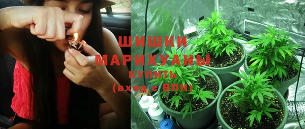 индика Куйбышев