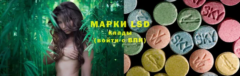 LSD-25 экстази кислота  blacksprut зеркало  Енисейск 